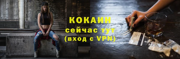 ПСИЛОЦИБИНОВЫЕ ГРИБЫ Михайлов