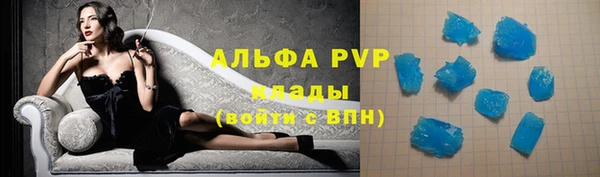 ПСИЛОЦИБИНОВЫЕ ГРИБЫ Михайлов
