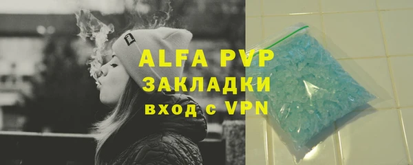 ПСИЛОЦИБИНОВЫЕ ГРИБЫ Михайлов