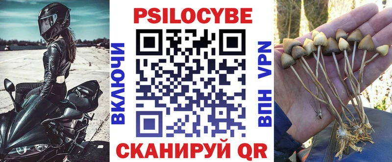 Псилоцибиновые грибы Cubensis  Таштагол 
